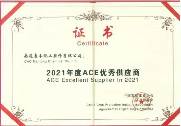 ACEչ���.png